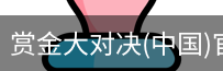 赏金大对决